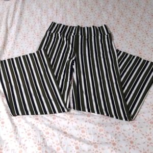 Express pants